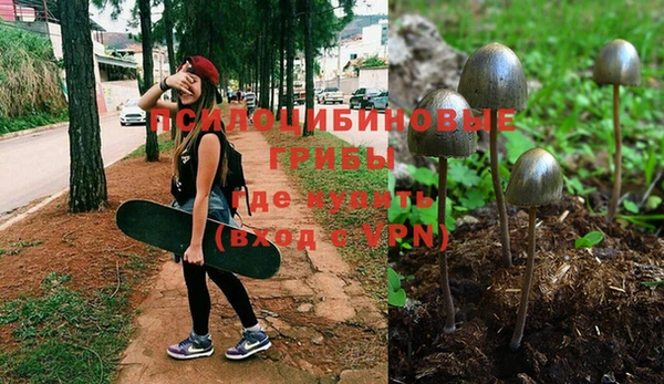 прущая мука Ельня