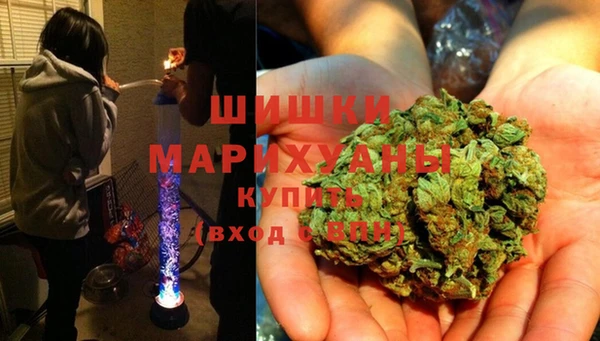 прущая мука Ельня