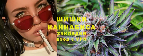прущая мука Ельня