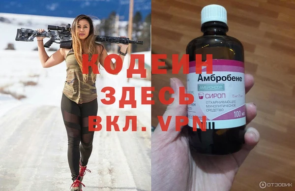 мяу мяу мука Елизово